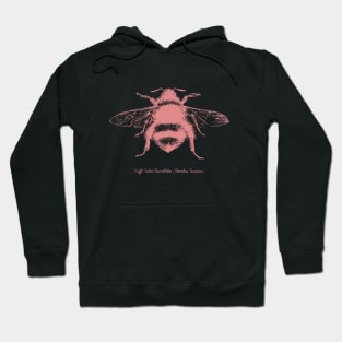 Bumblebee - Illustration in pink Hoodie